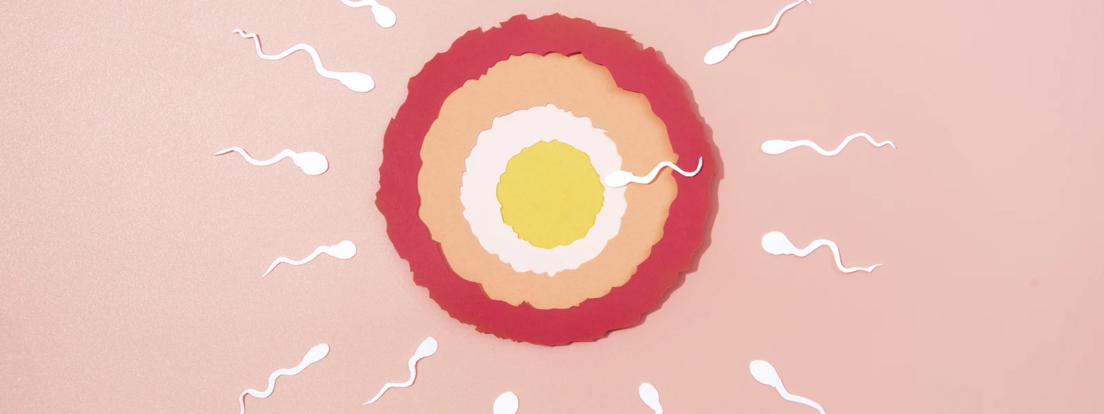 sperm sayısı normalde kaç olmalı